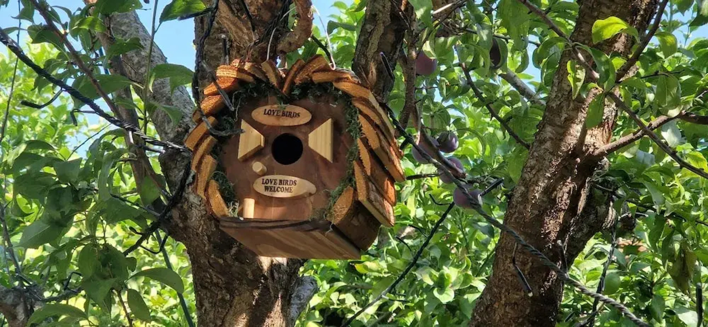 Sky Room Carrara Hydromassage With Parking