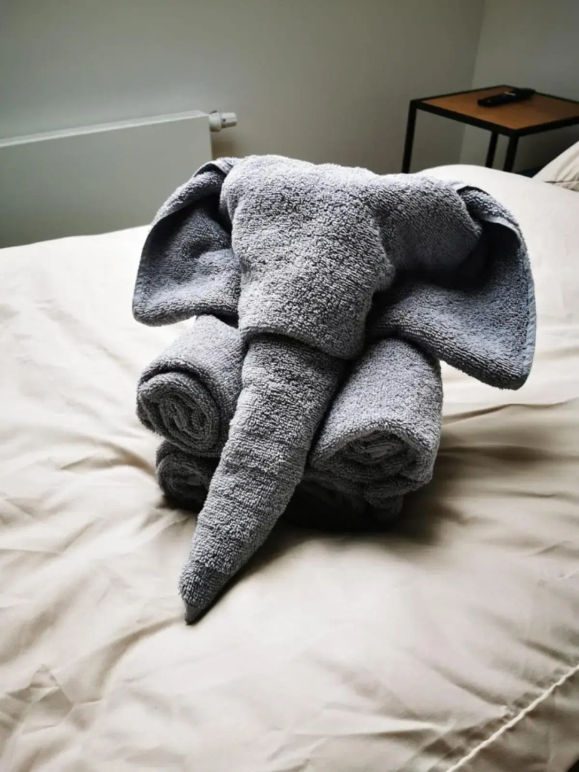 Rheinufer am Hindenburgpark