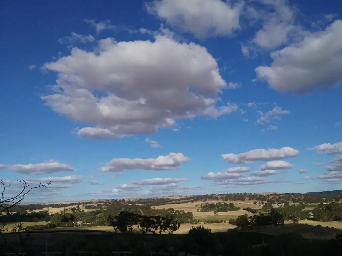 Mt Surmon Wines/Scarlattis Gallery/The Retreat