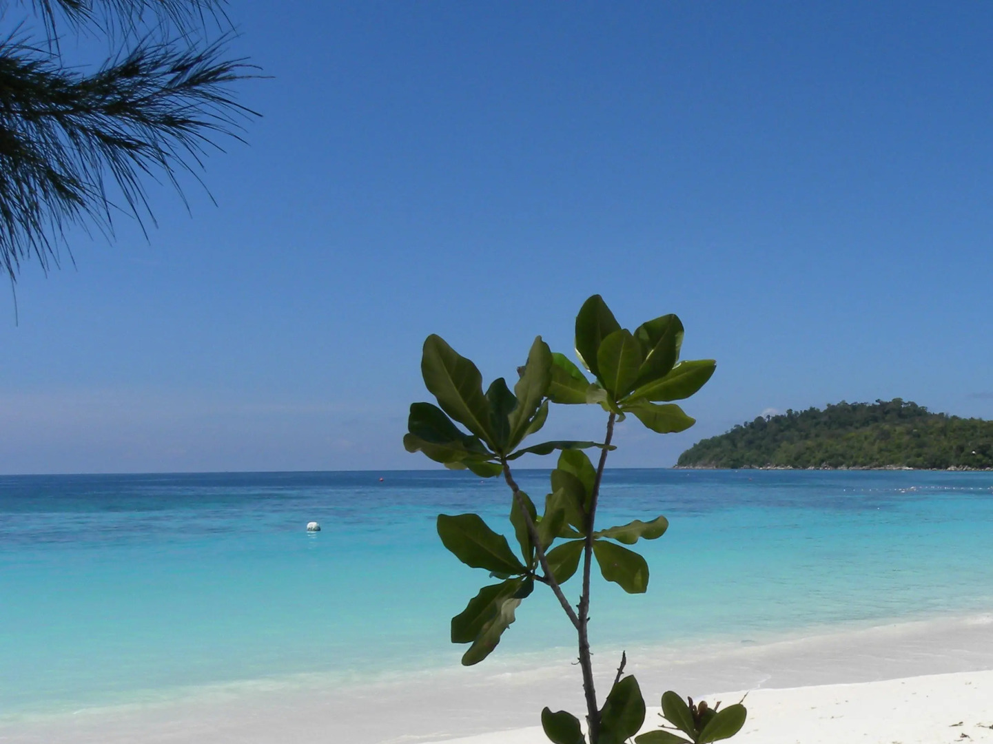 Blue Tribes Garden Beach Resort