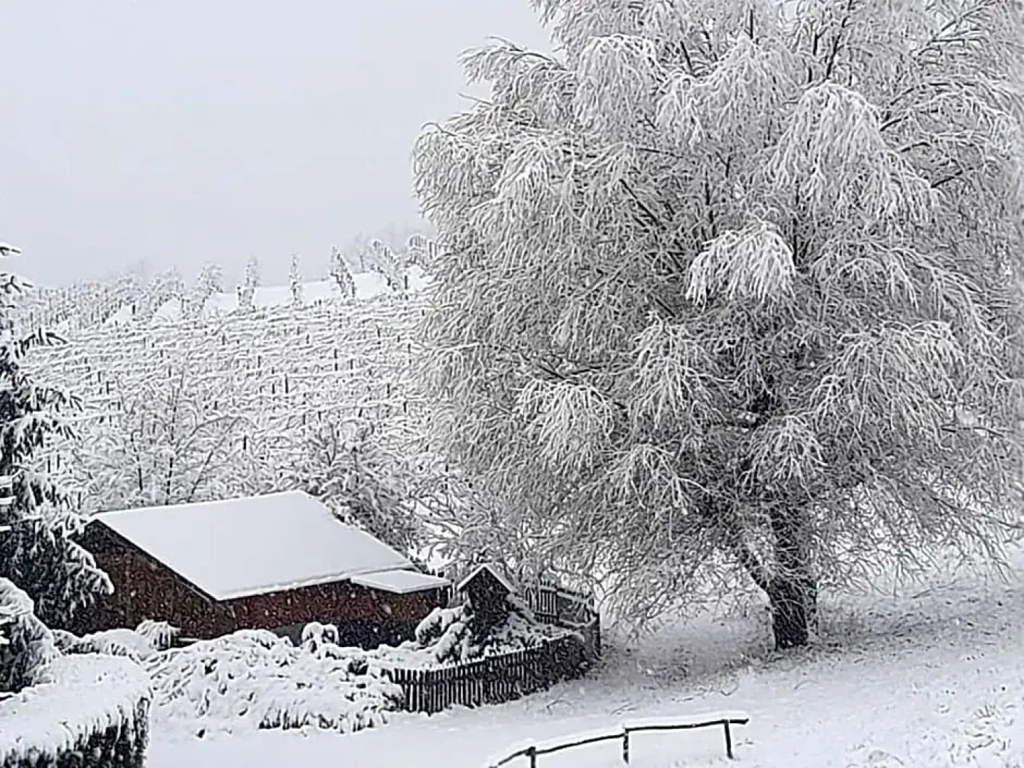 Valditerra Vini - B&B la Rombetta