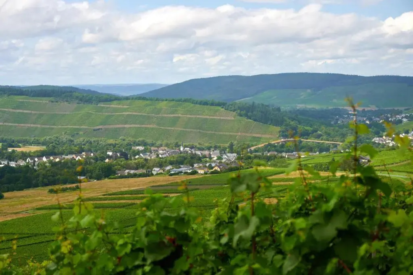 Weinromantikhotel Richtershof