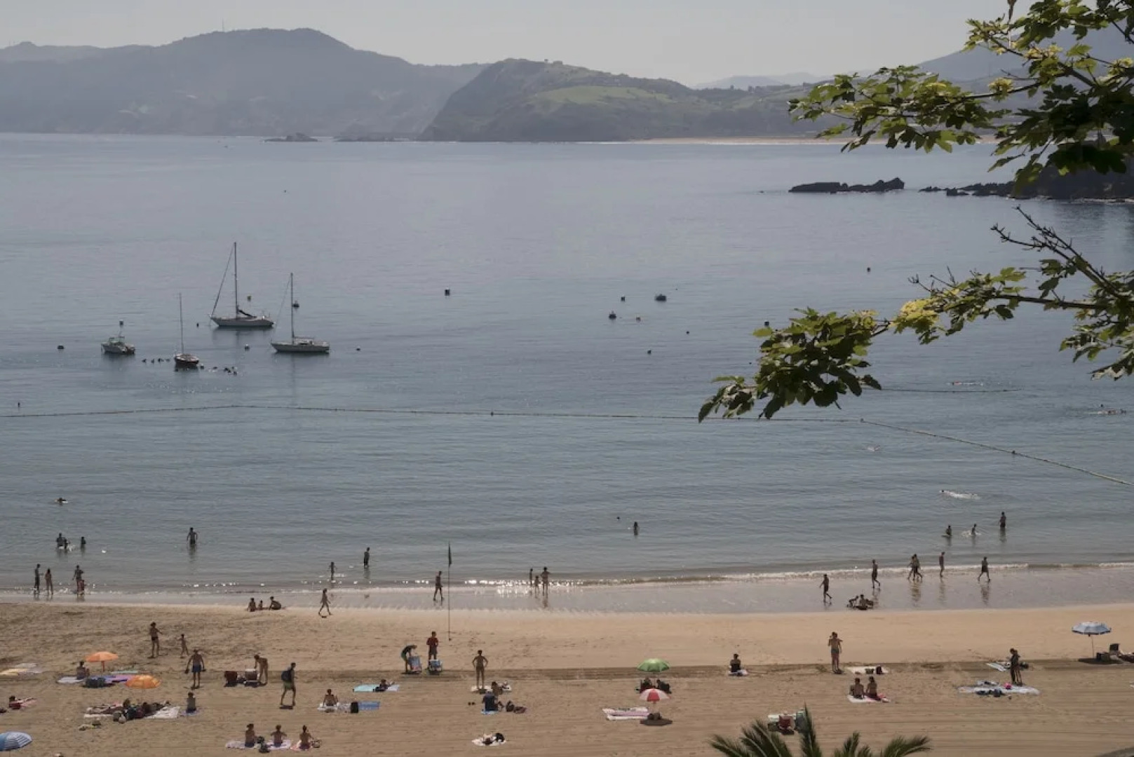 Nuevo Katu Kale Apartamentuak Centro Historico