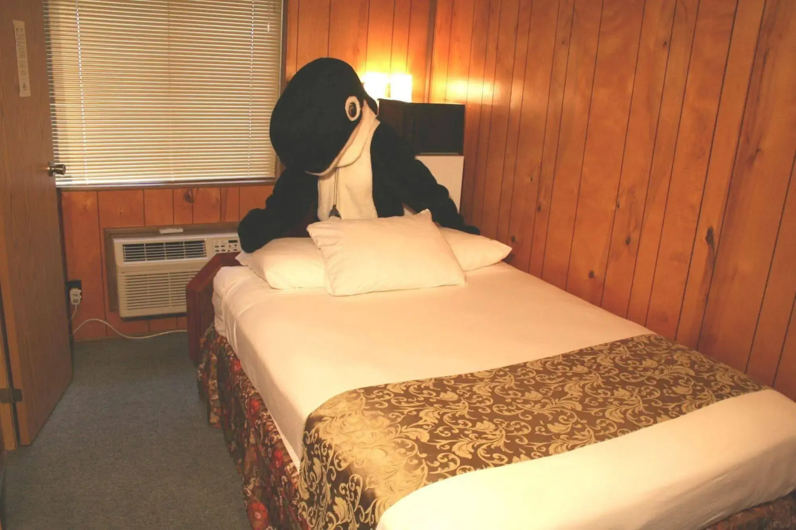 The Orca Inn