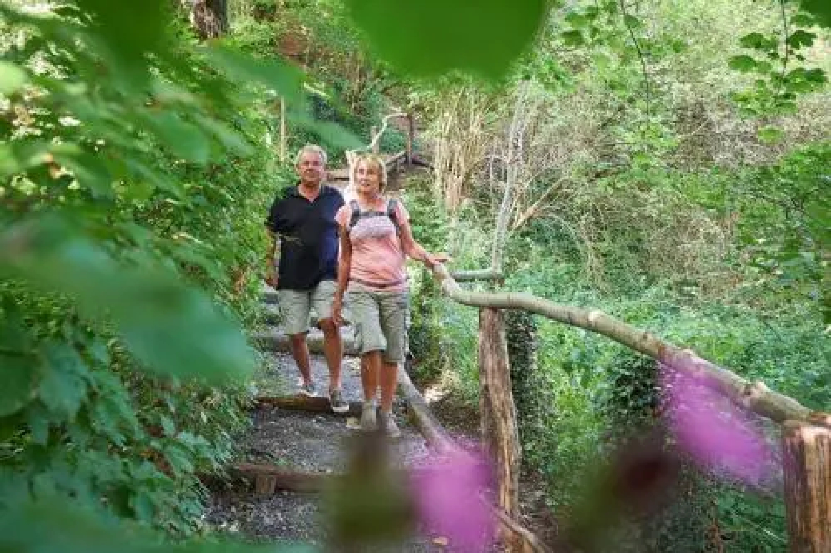 Camping De Gronselenput