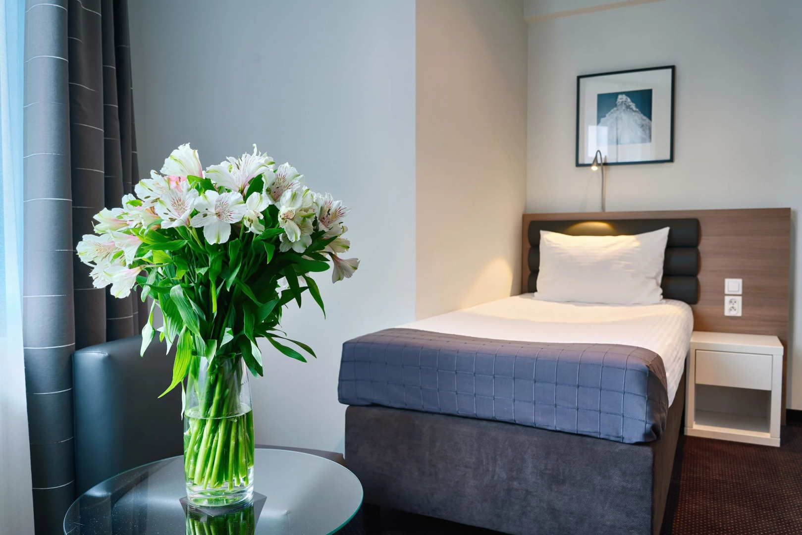 Focus Premium Inowrocław