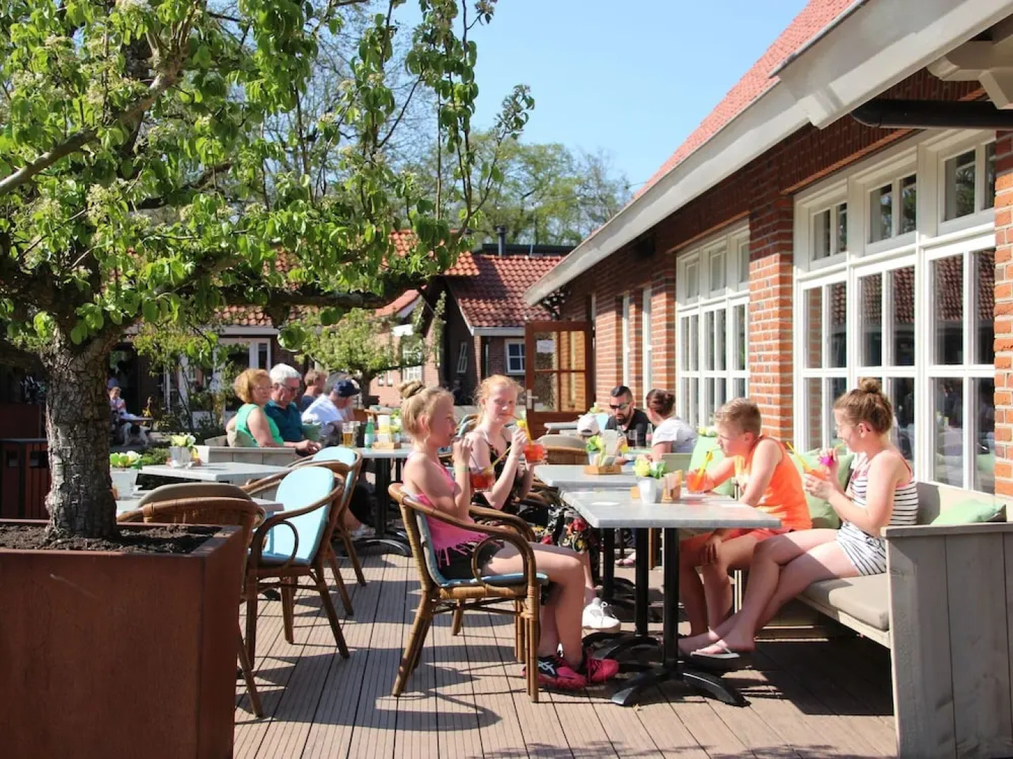 Special Lodge Tent in the Achterhoek