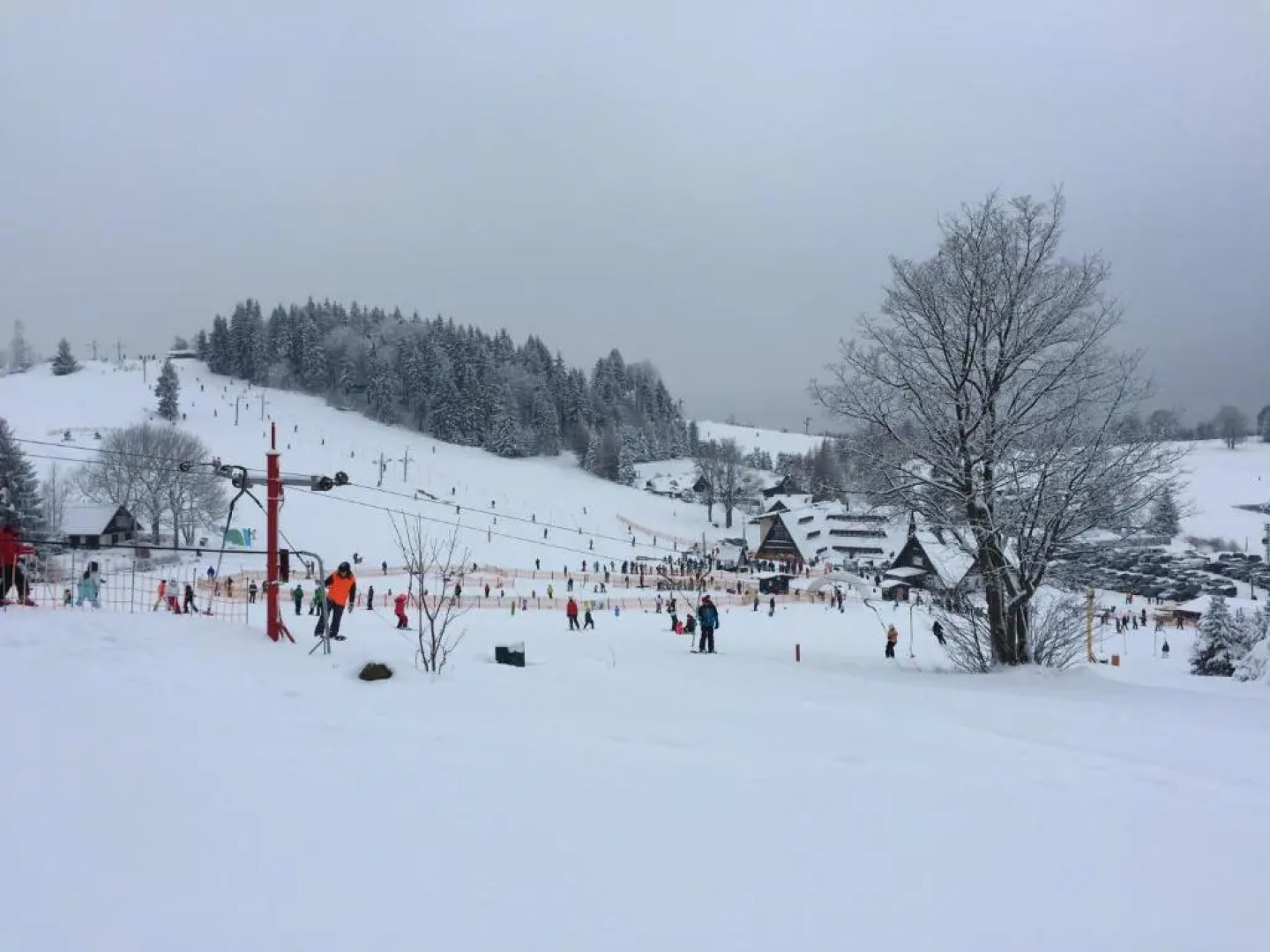 Apartments Dřevona II