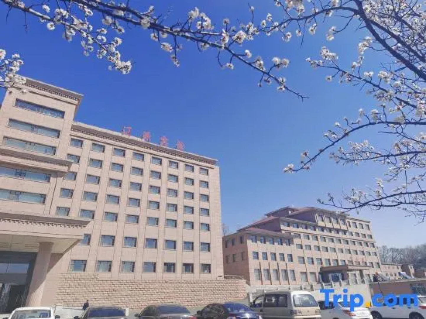 Thank Inn Plus Hotel Liaoyuan Fortune Road Eurasian Shangdu