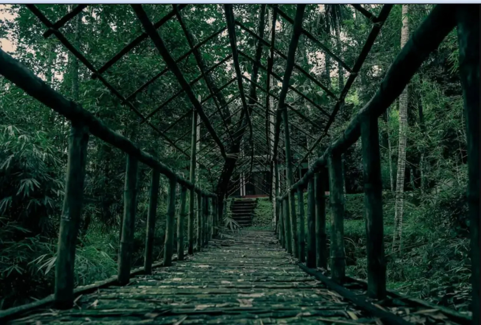 Wayanad Timber Creek Resort