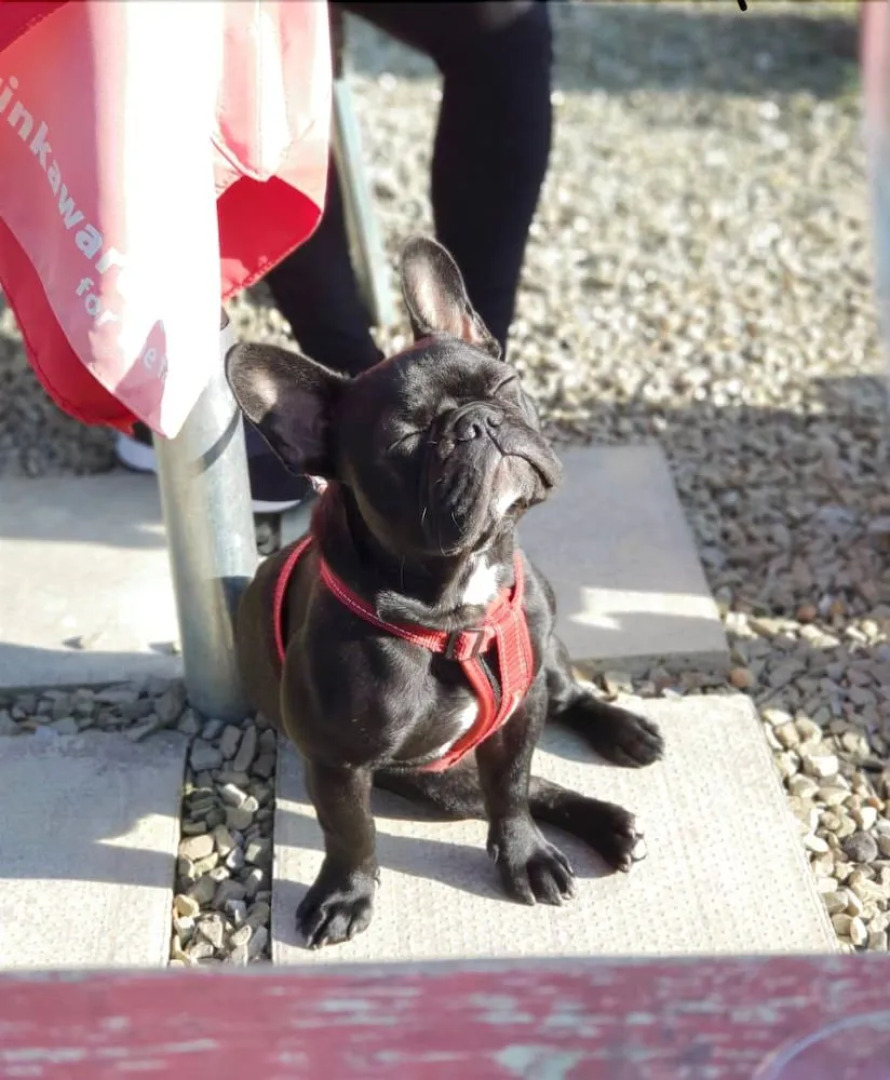 Eagle and Child, Ramsbottom