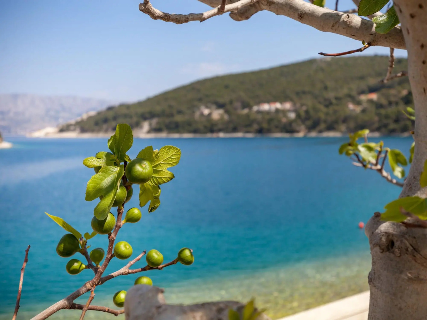 Beautiful Holiday Home on the Island Brac, With the Sea and a Small Beach in Front of the Door