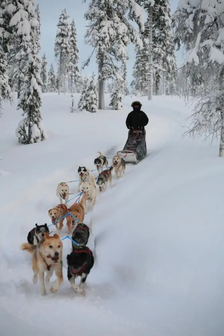 Aurora Mountain Lodge