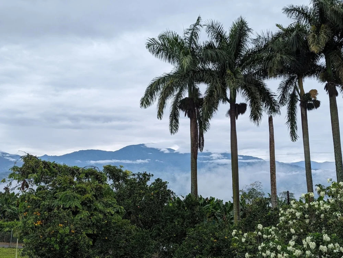 La Bella Vista