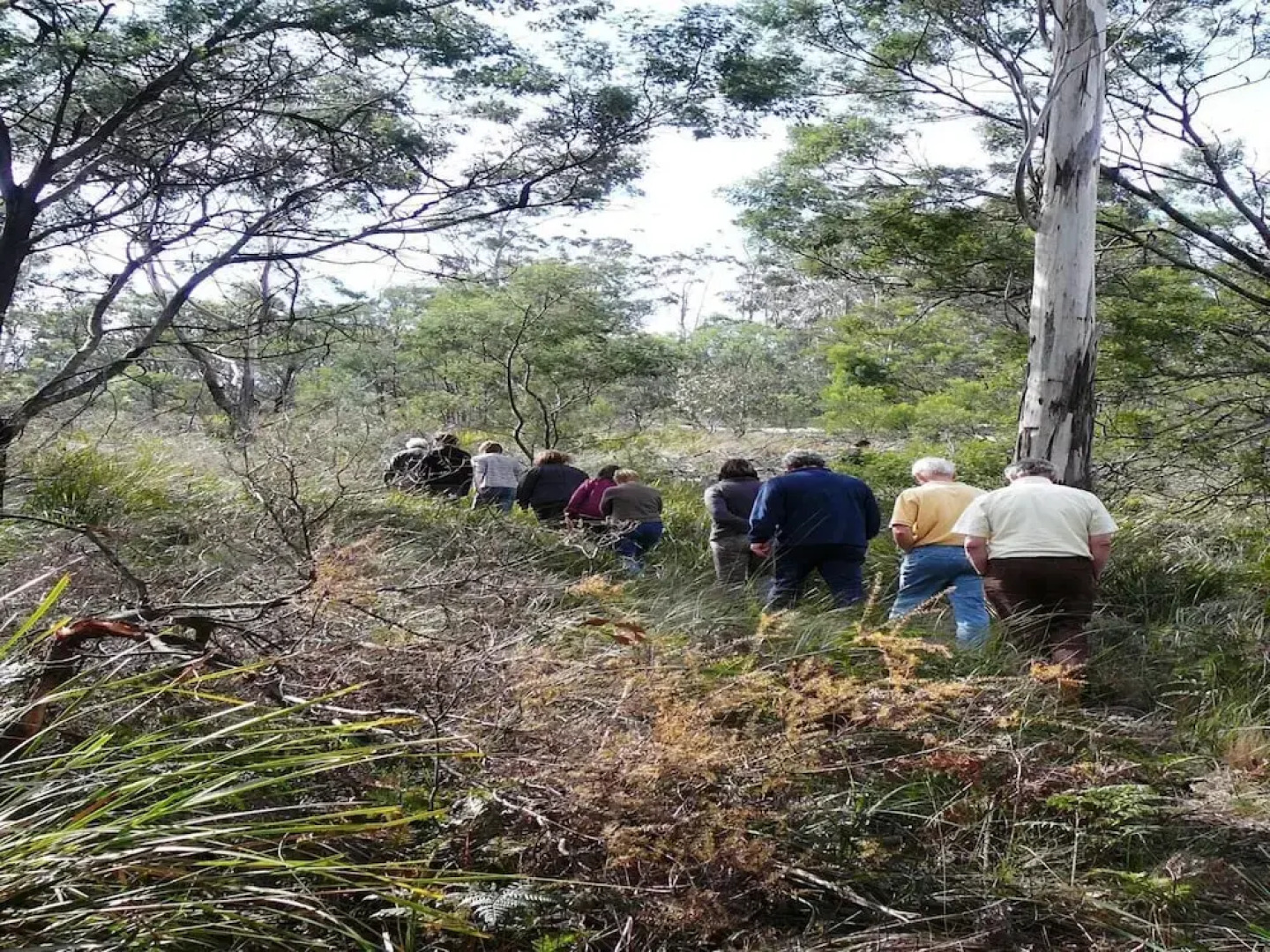 Wind Song Bed and Breakfast
