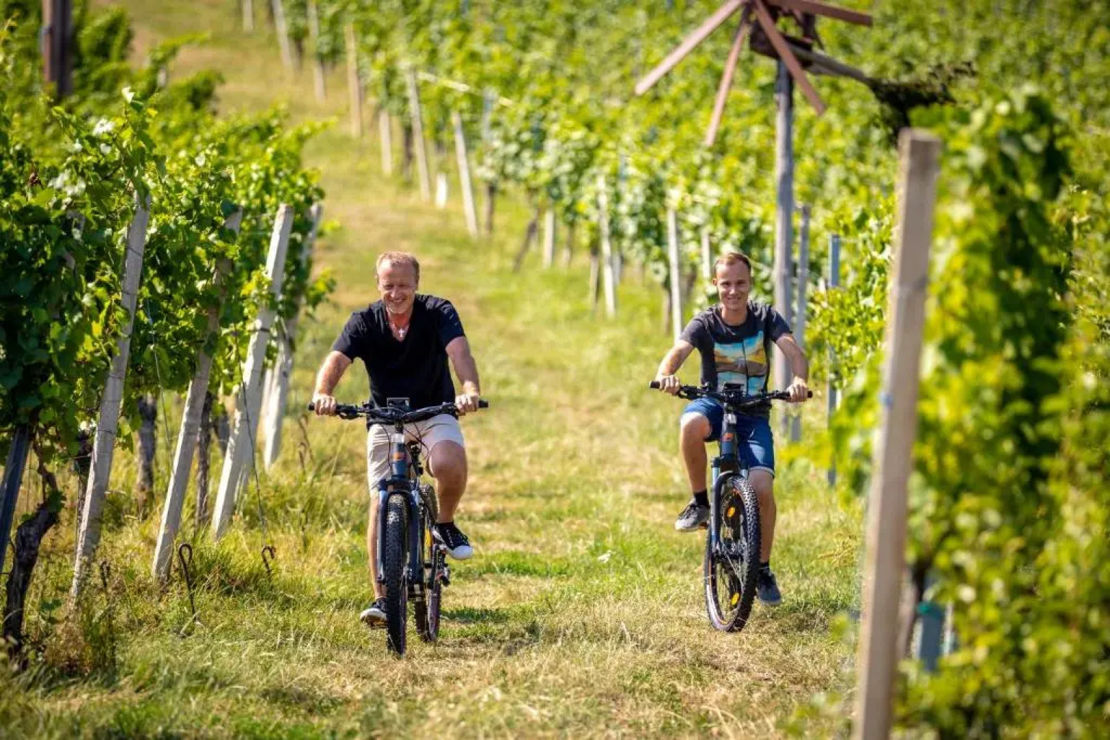 Weingut Gästehaus Otmar Birnstingl