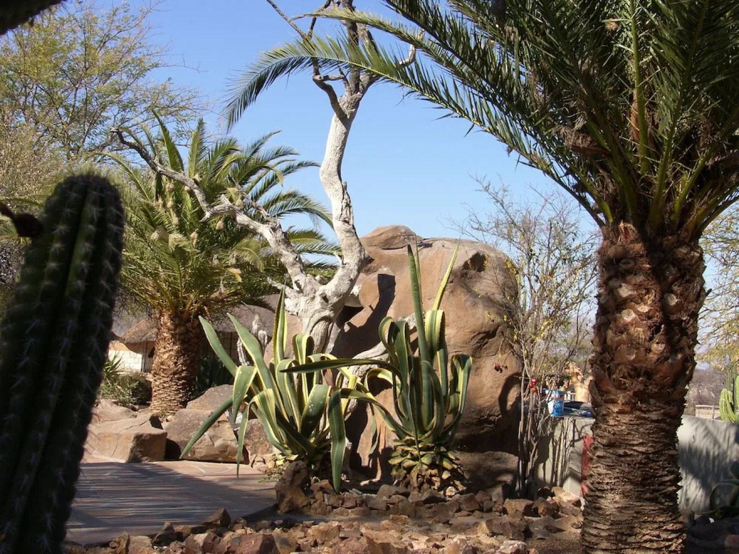 Roidina Safari Lodge