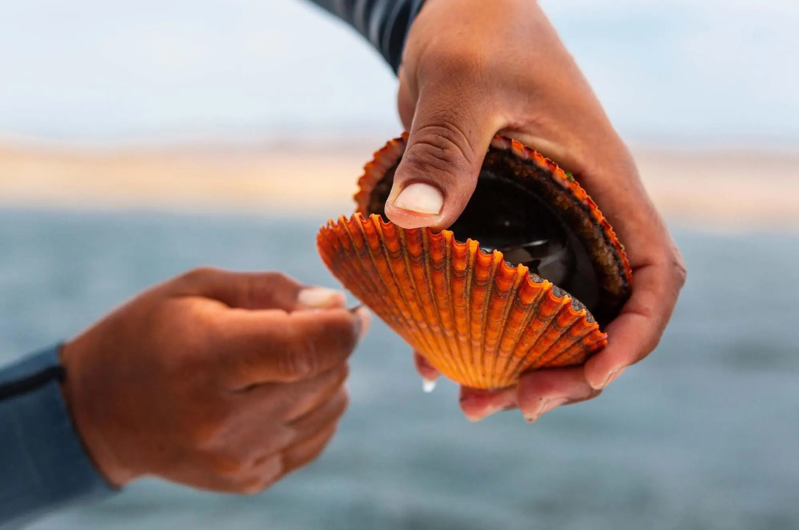 Hotel Paracas, a Luxury Collection Resort, Paracas