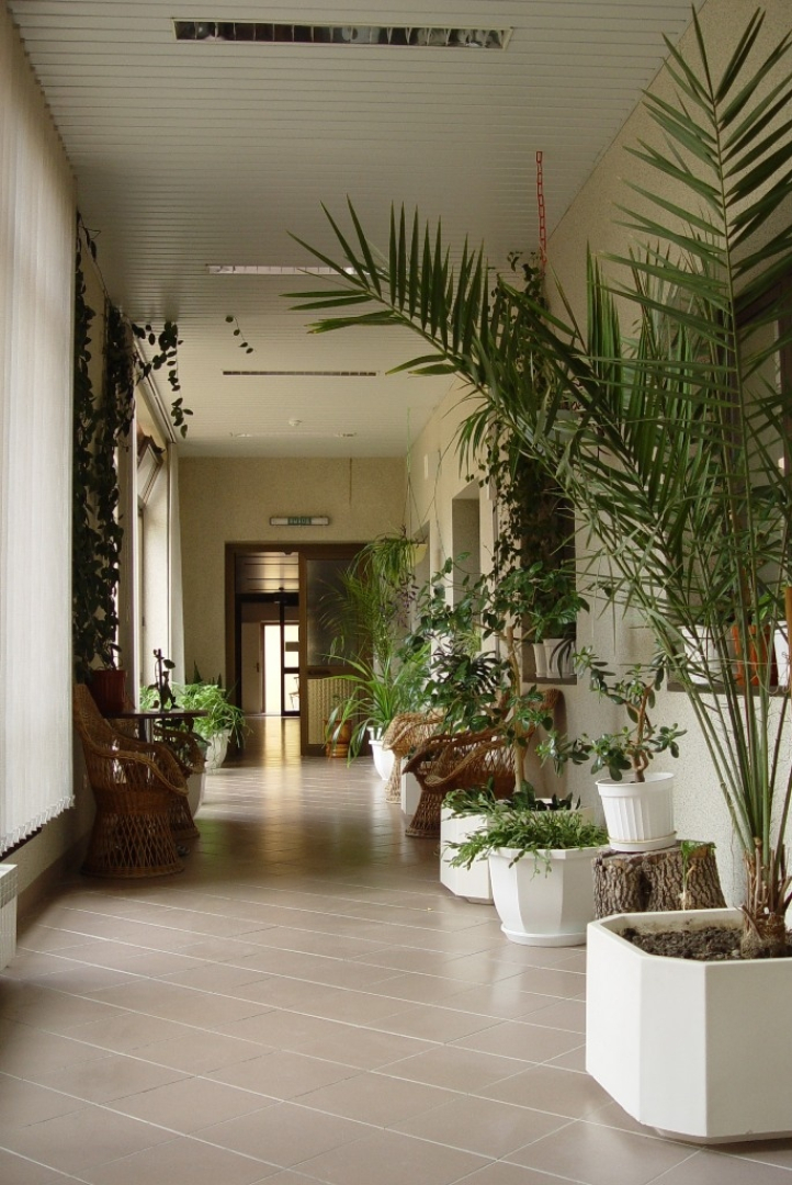 Солнечный АZIMUT Здоровье