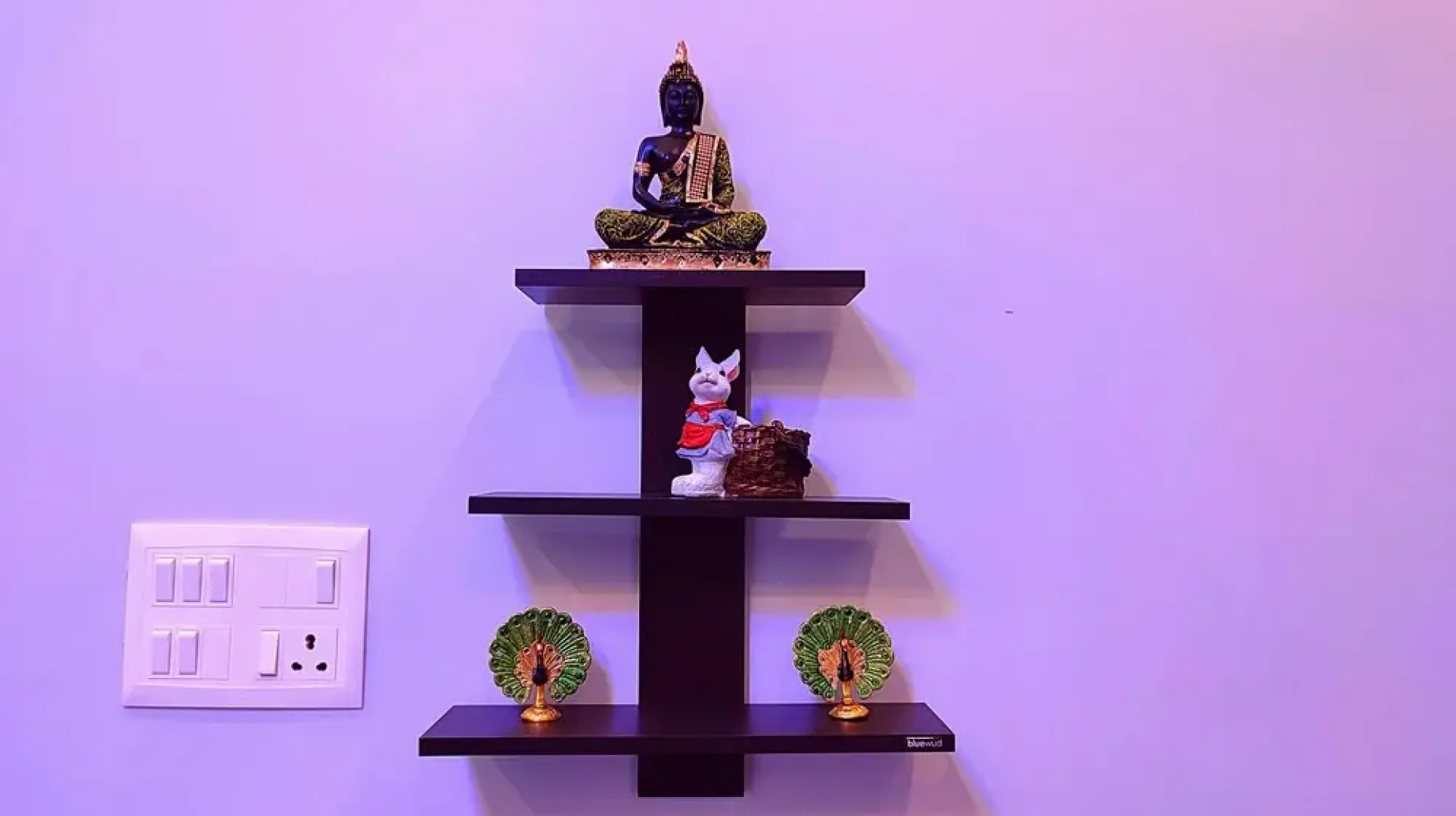 Asapian House - A Luxury Homestay at Moradabad