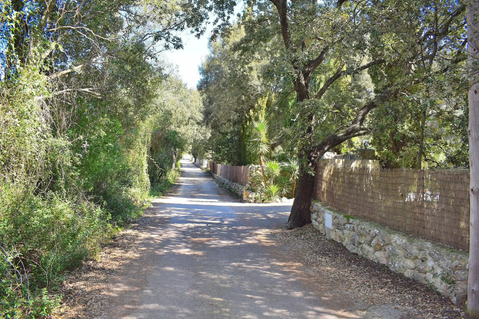 Finca Mercedes 057 by Mallorca Charme