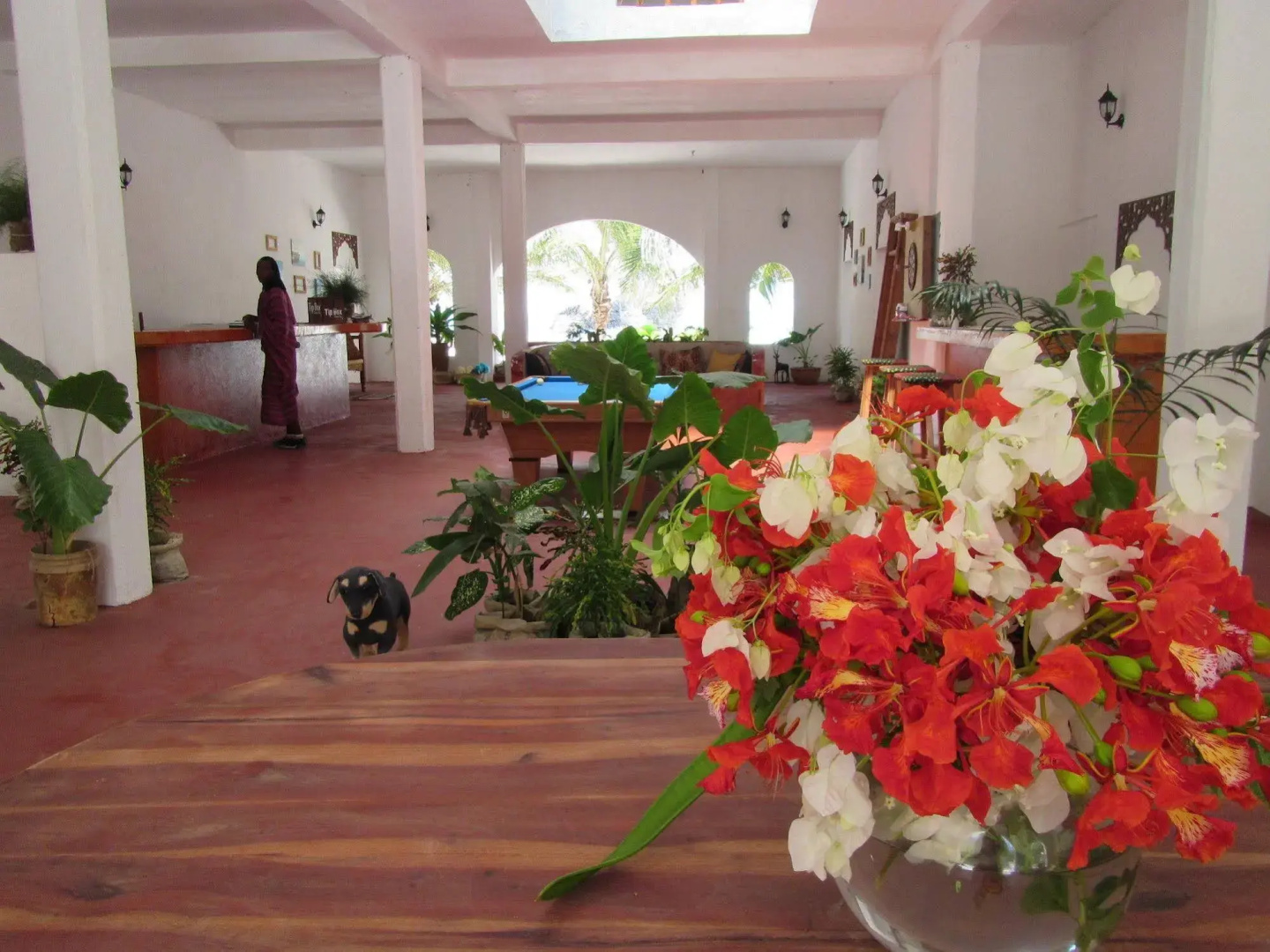 Kilima Kidogo Guest House