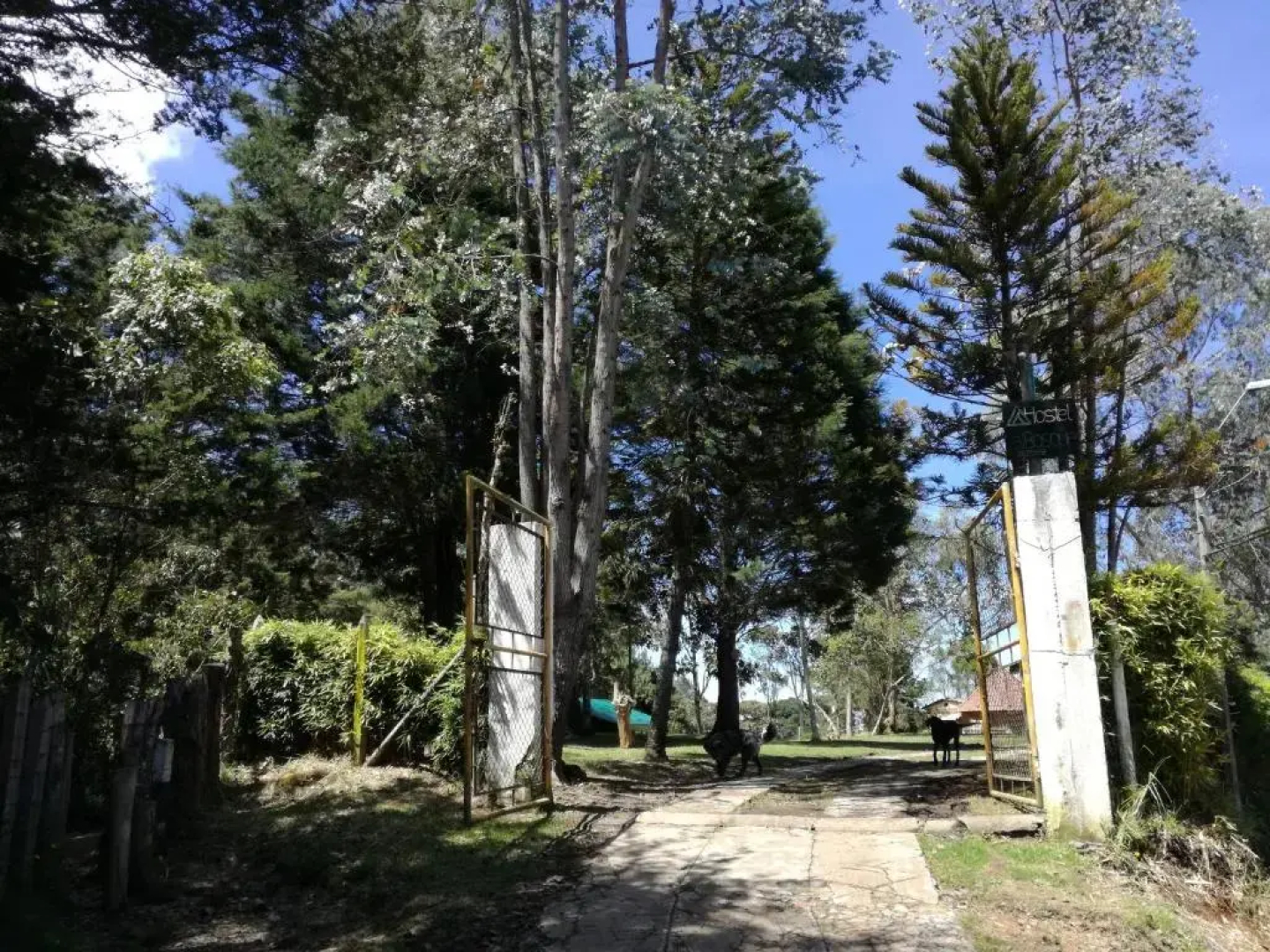 al Bosque Hostel & Glamping