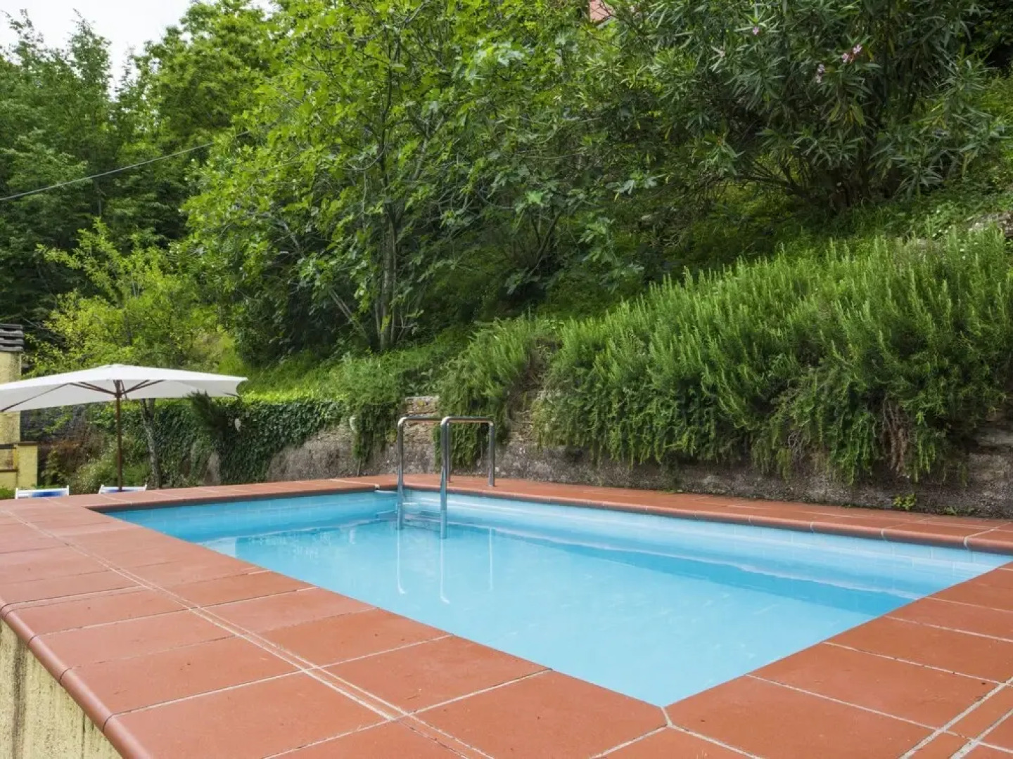 Laia Seravezza in Seravezza