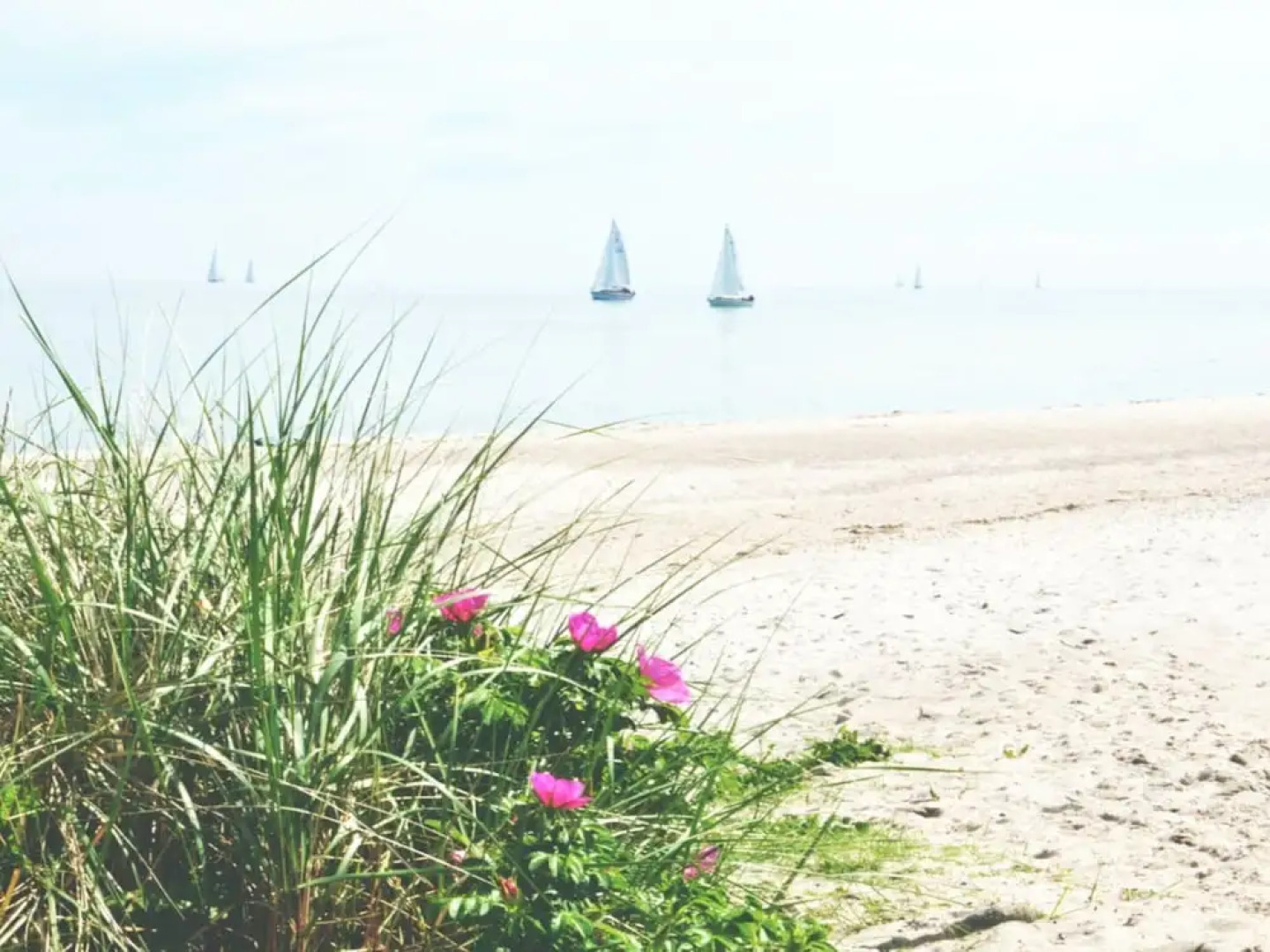 Cathedral day "hygge"