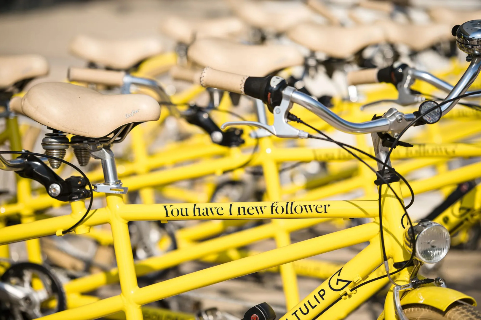 voco Strasbourg Centre The Garden by IHG