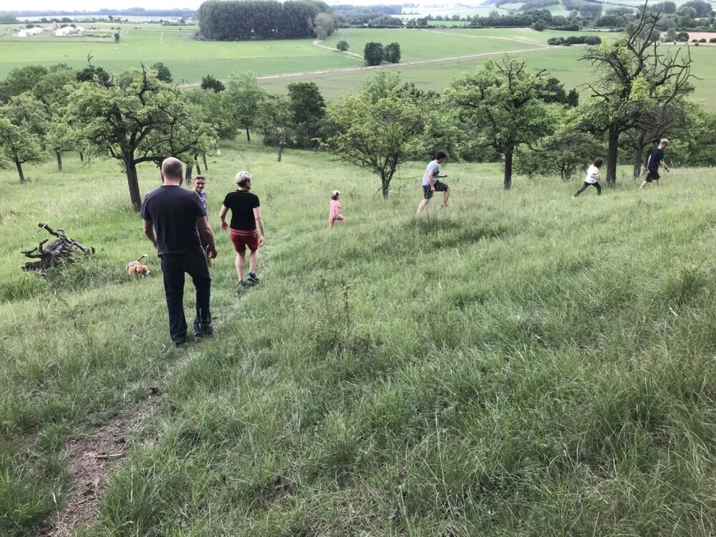 Gästehaus Freudenthal