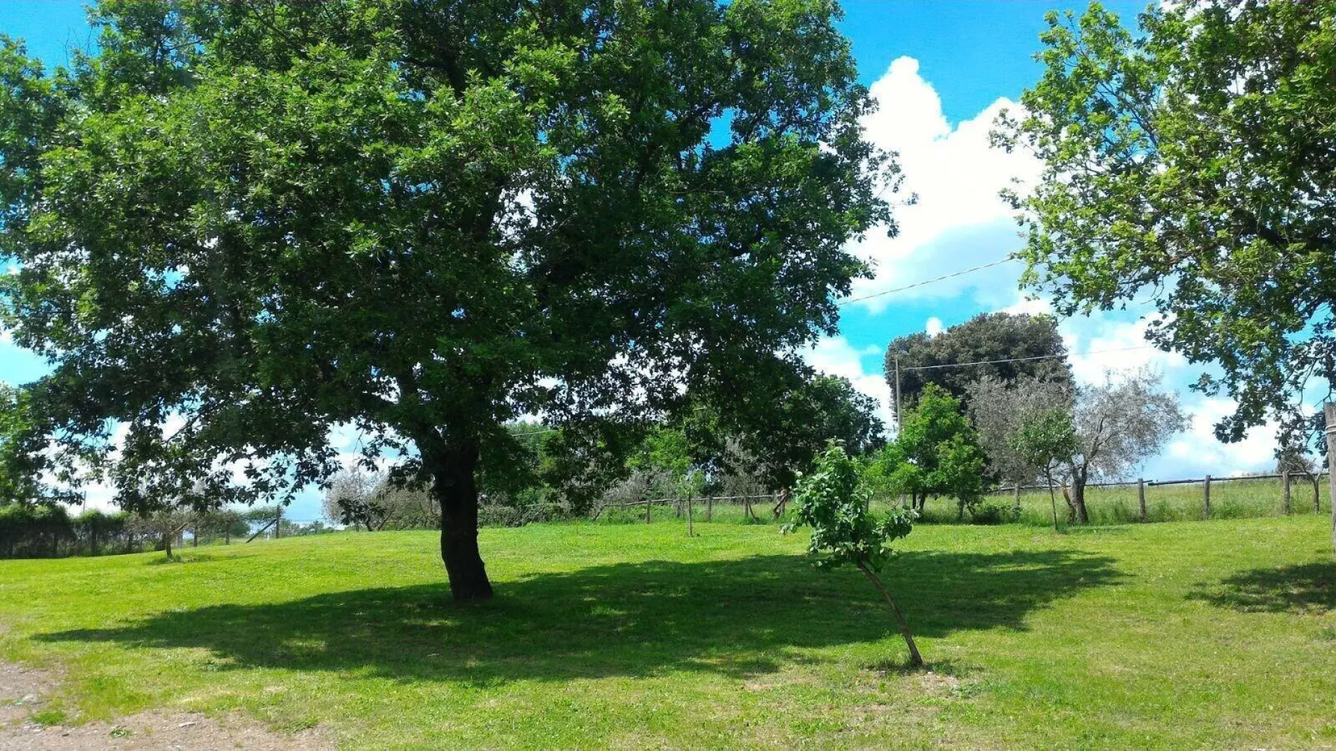 Agriturismo San Filippo