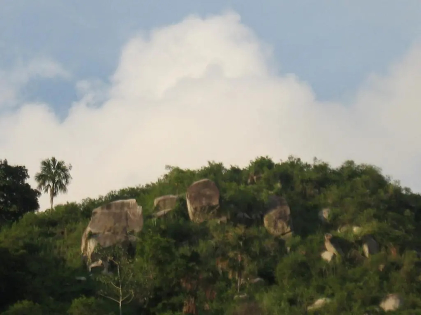 Hostel Finca La Gordita