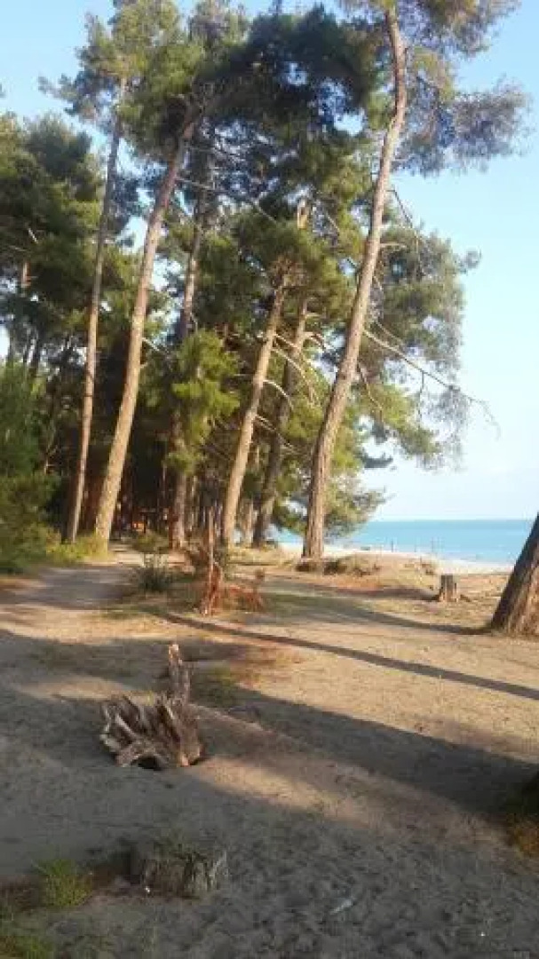 Guest House on Lesnaya 9A