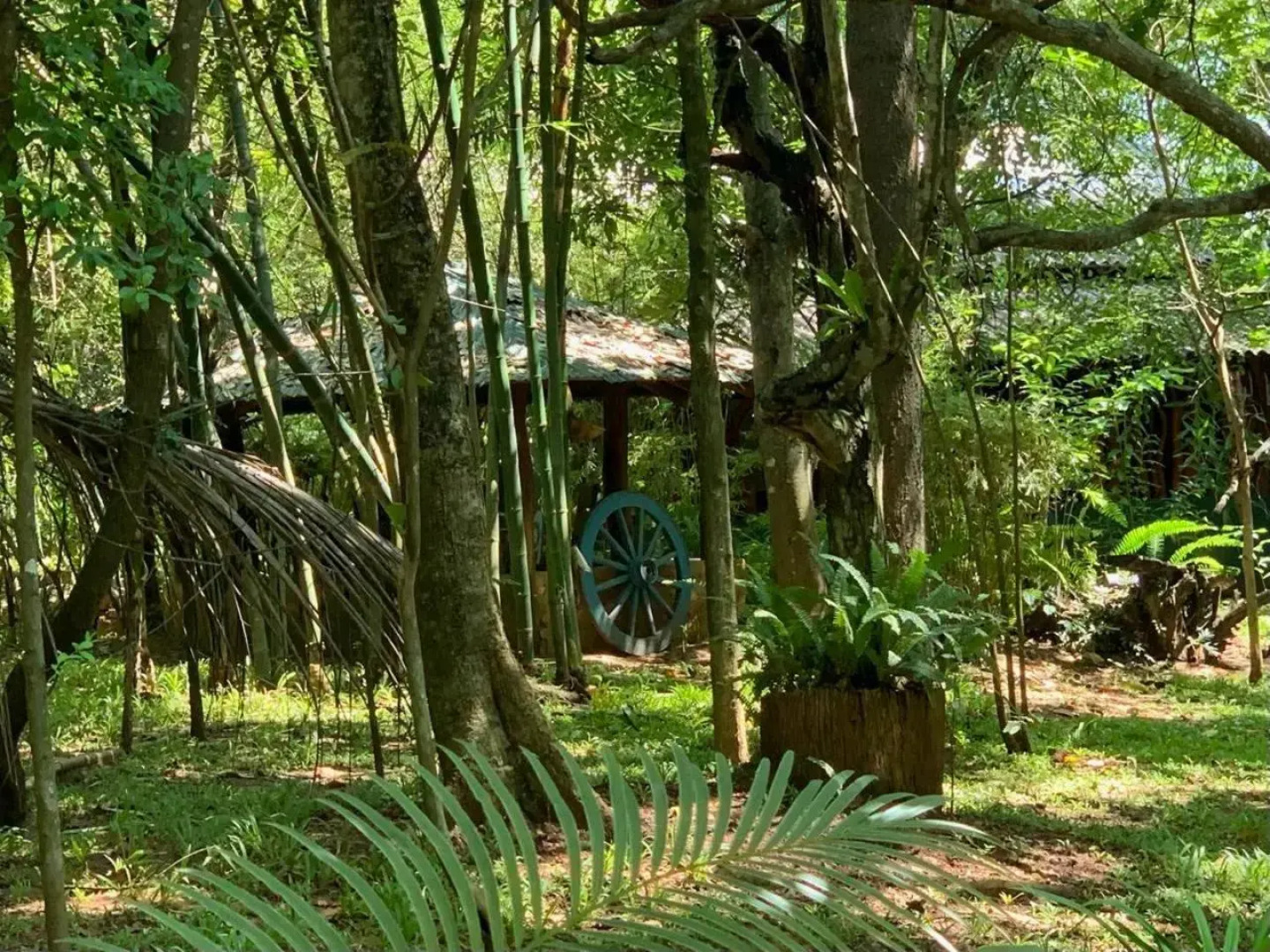 Walawa Blue Sapphire