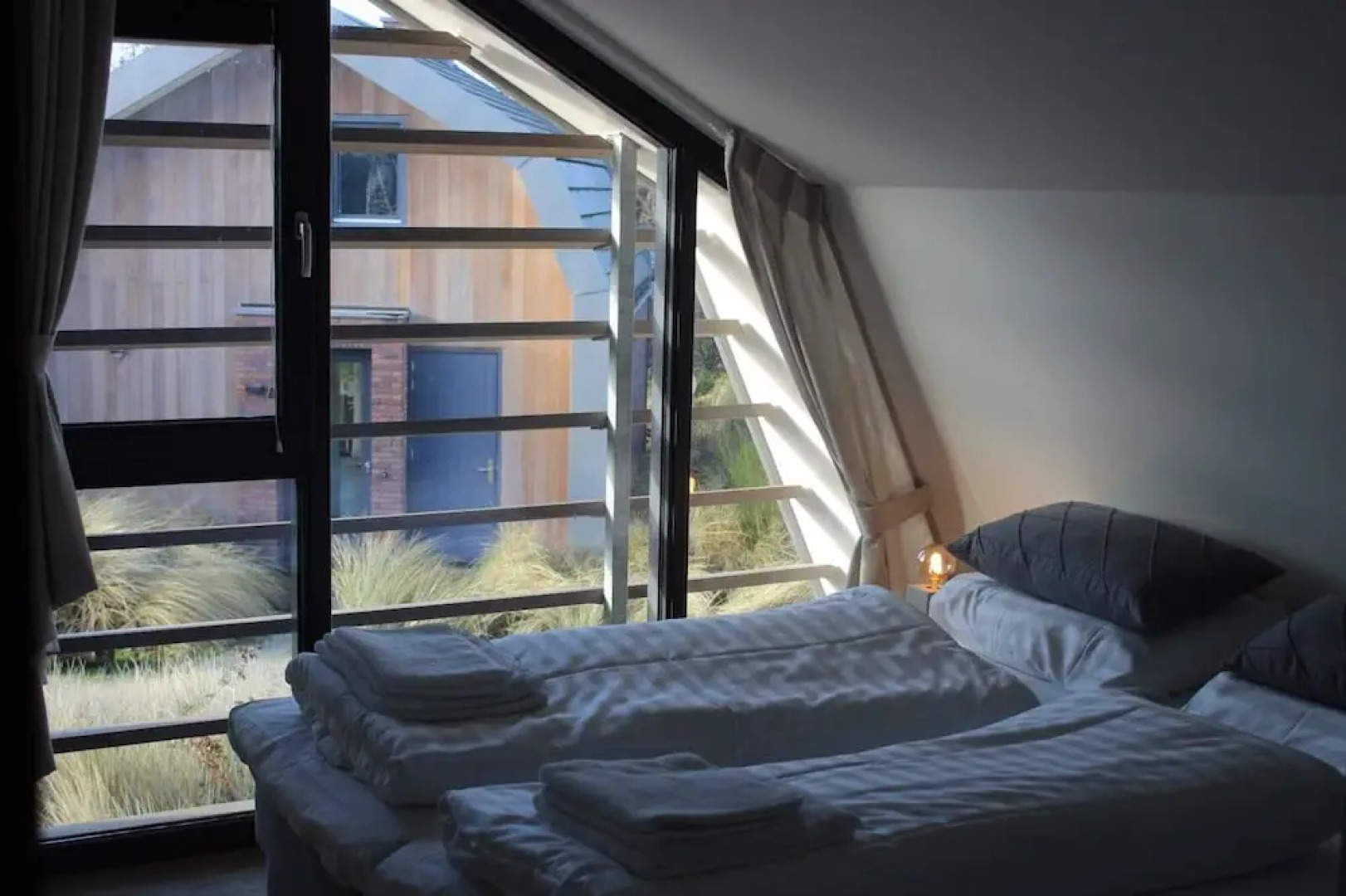 Duinroos Egmond nr 16