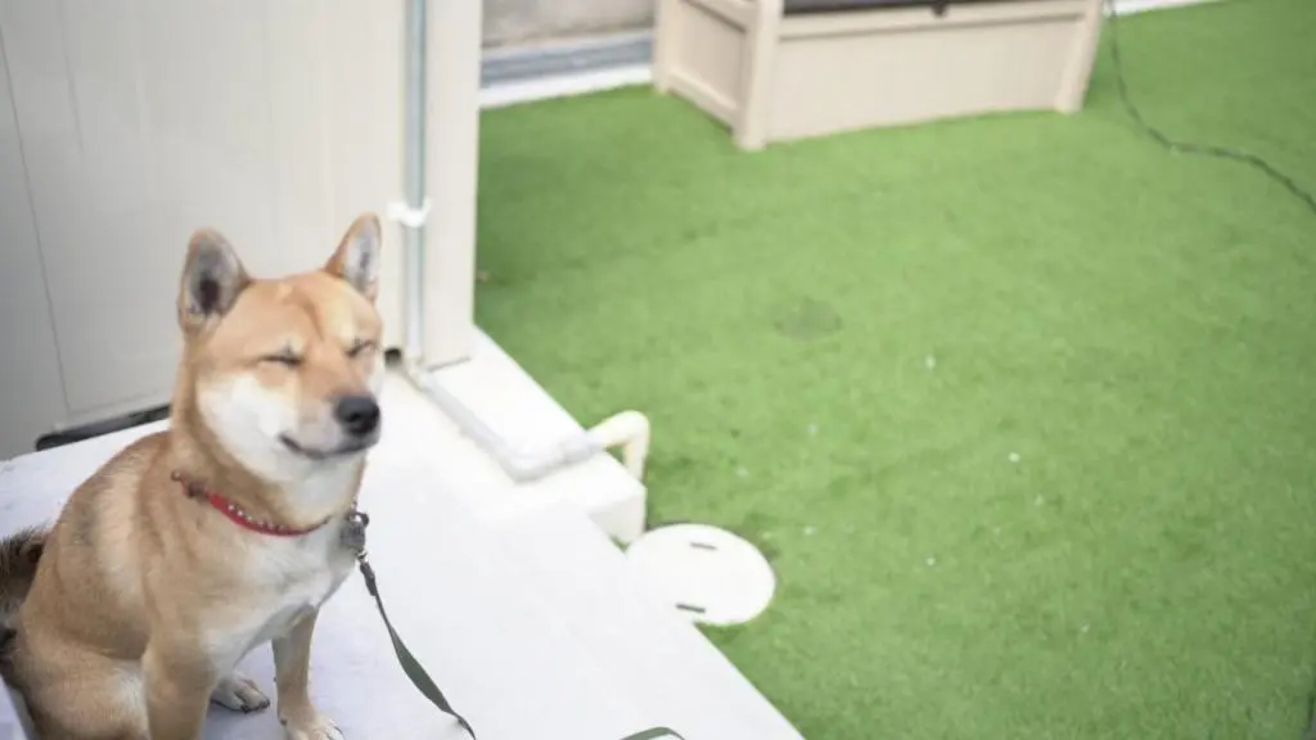 Tiz wan 岩屋あわじ