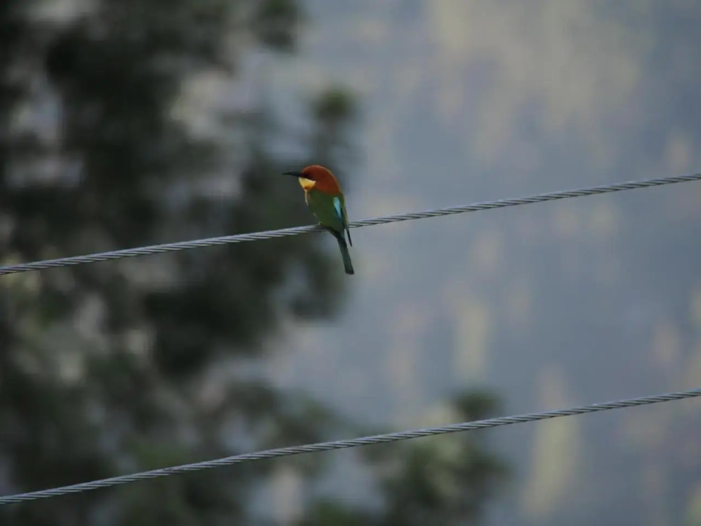 Singha Sanasa Luxury Homestay