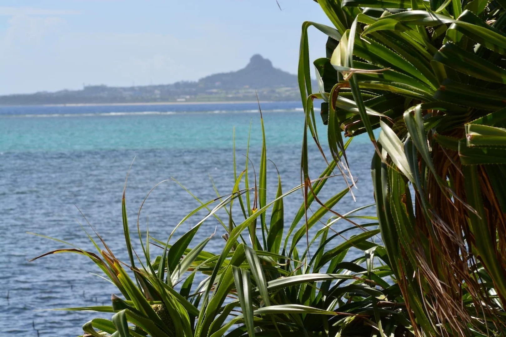 Old Private House KANEYA