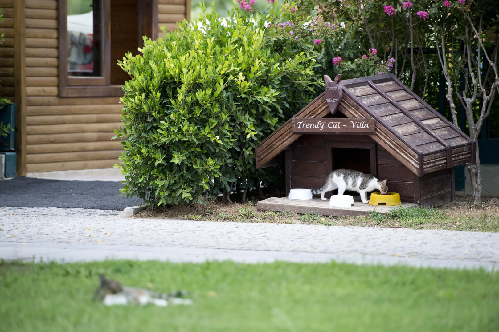 Sentido Trendy Verbena Beach - All Inclusive