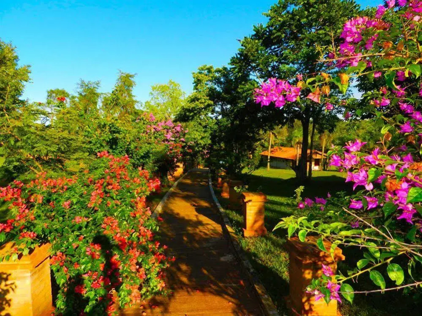 Paraiso Golf & Resort