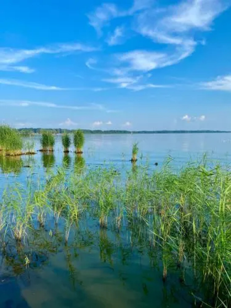 Navigator Hotel i Konferencje