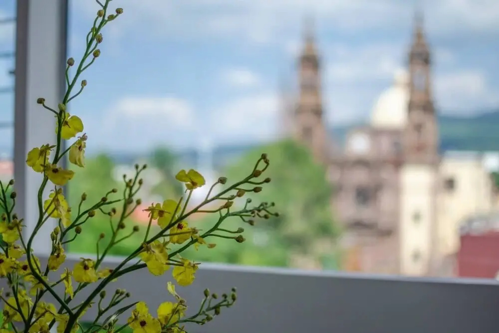 Jacobo Daciano Departamentos Boutique