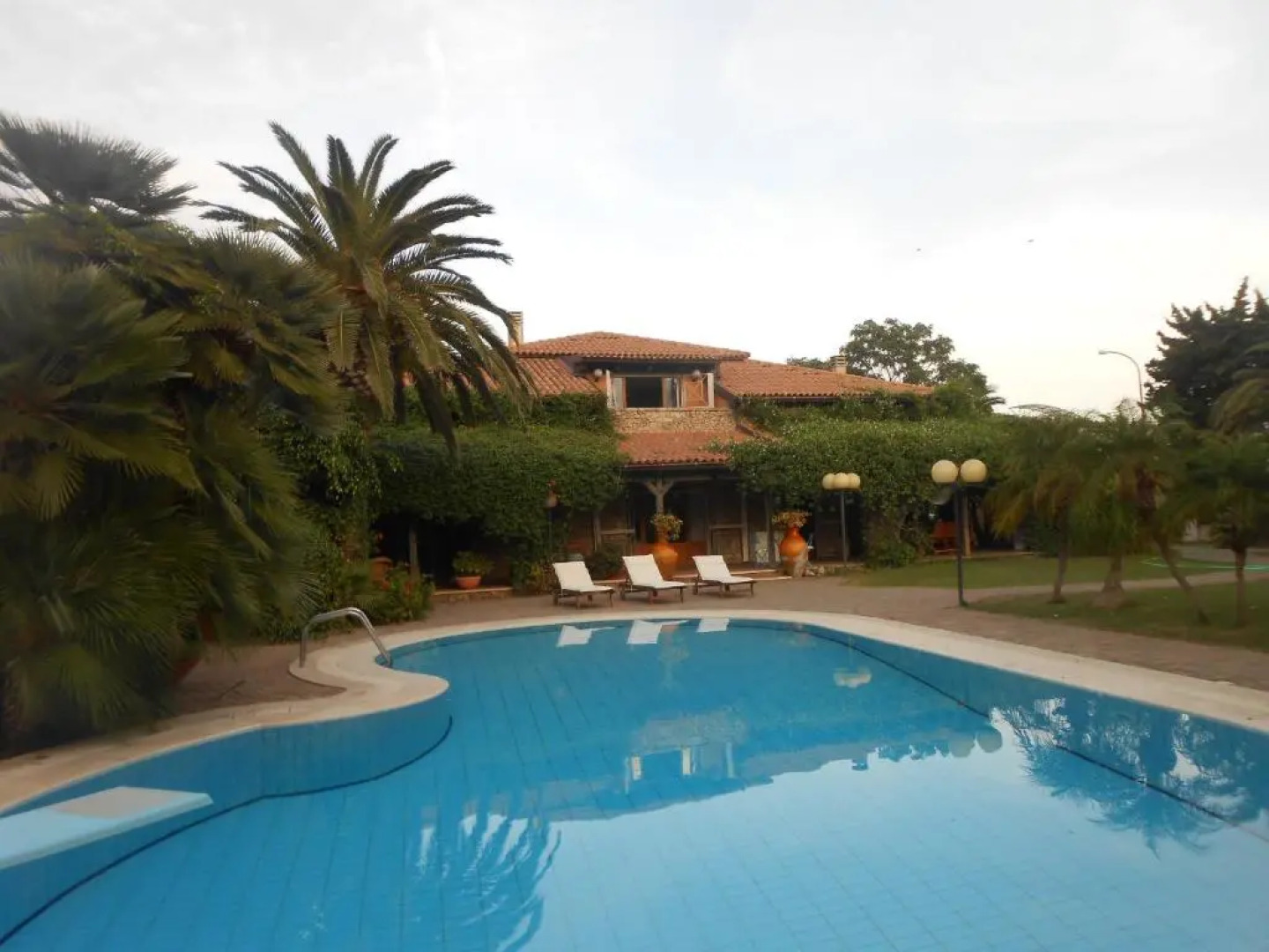 All'ombra del palmeto