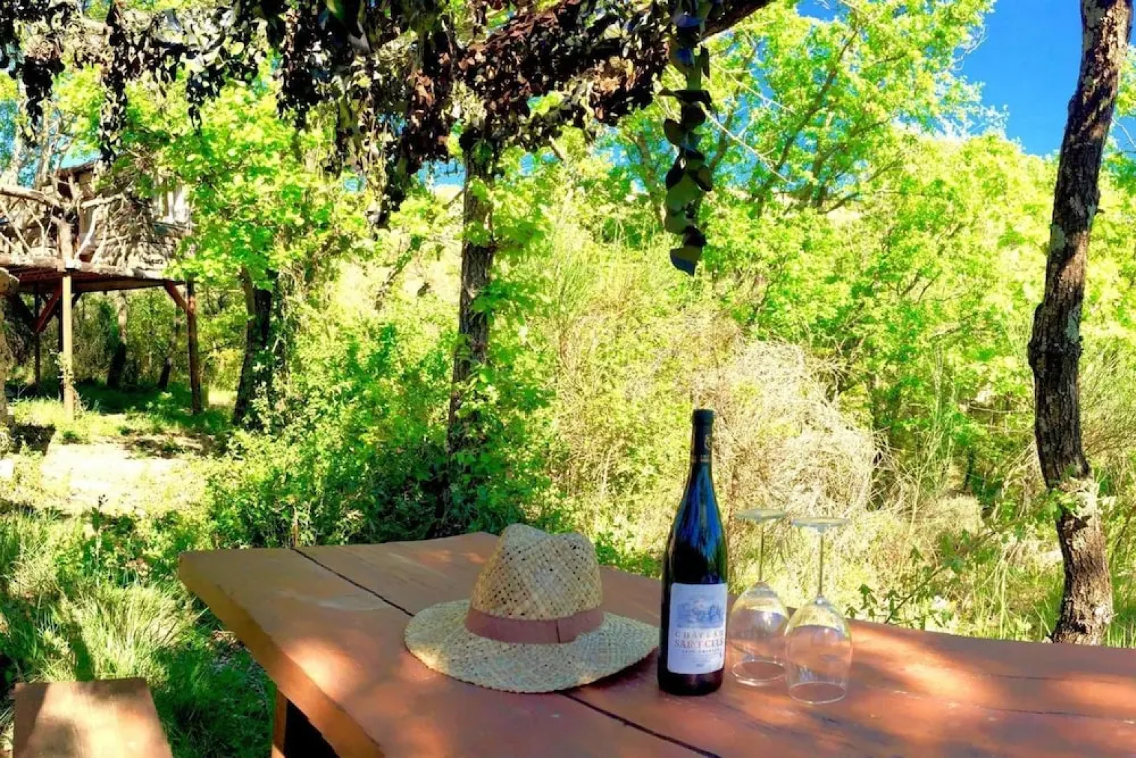 Wild Boar Mountain - France