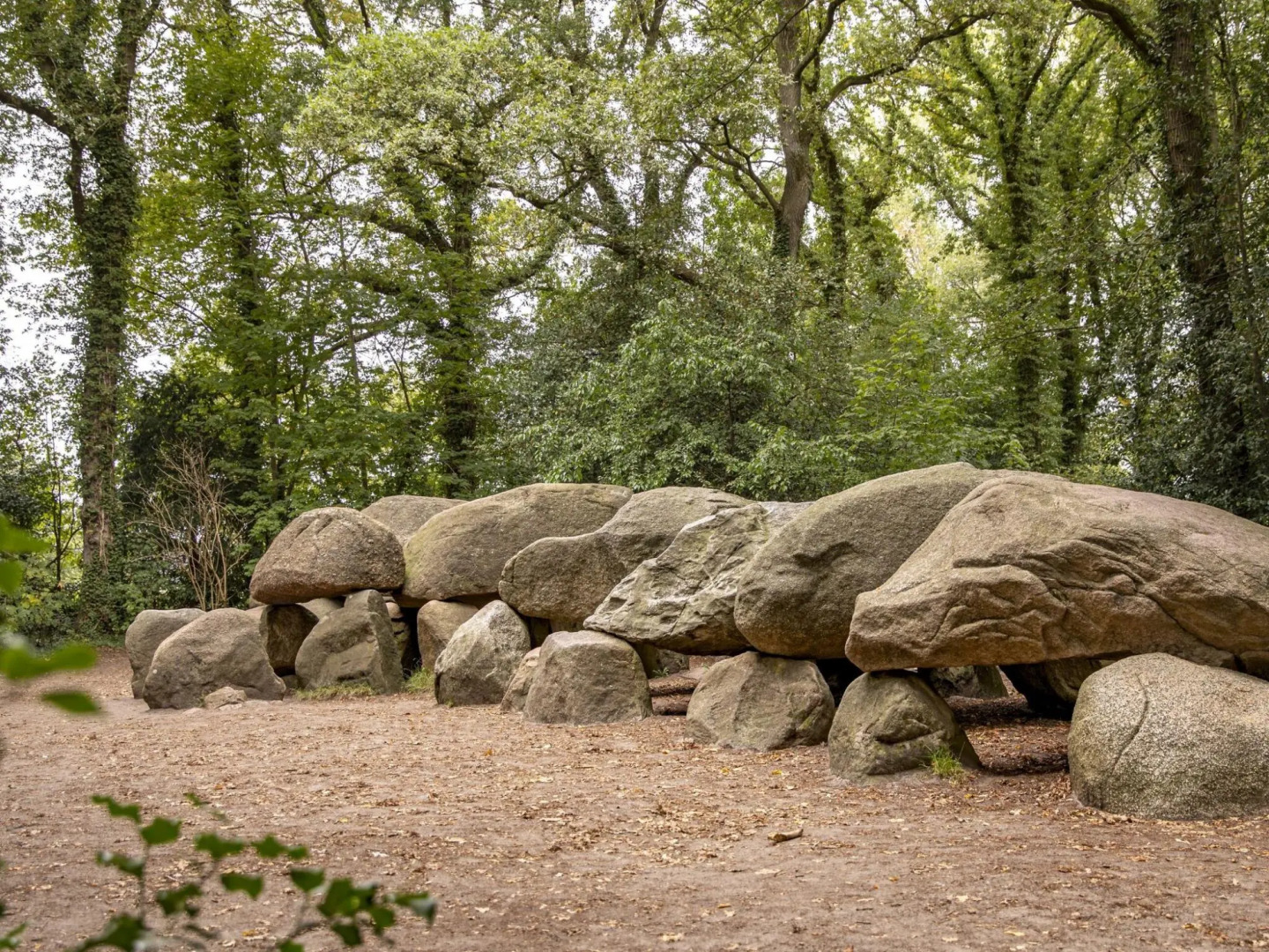 Charming Chalet in Borger