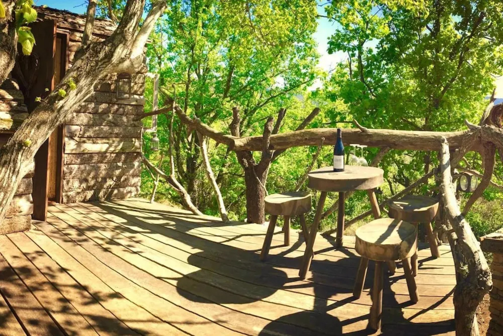 Wild Boar Mountain - France