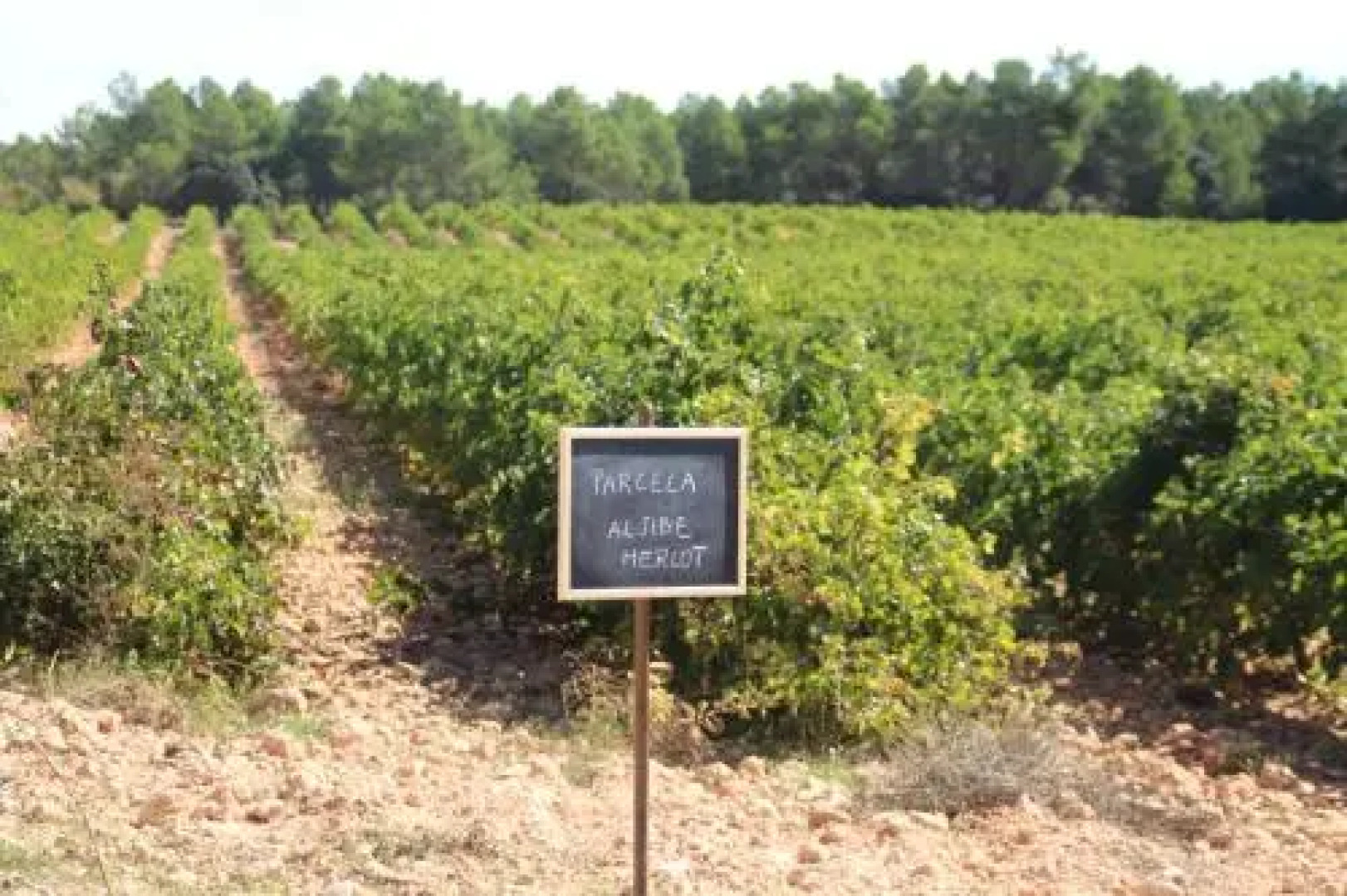 Hotel Rural Entreviñas