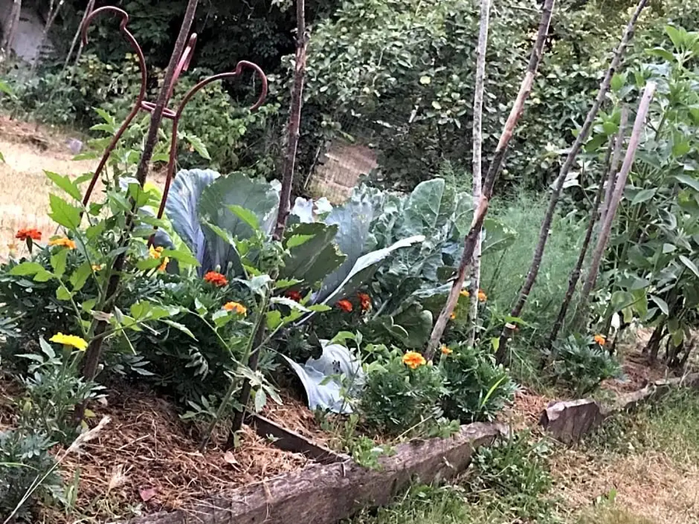 Chambre Privative Et Originale, a 20 Mn de Cluny