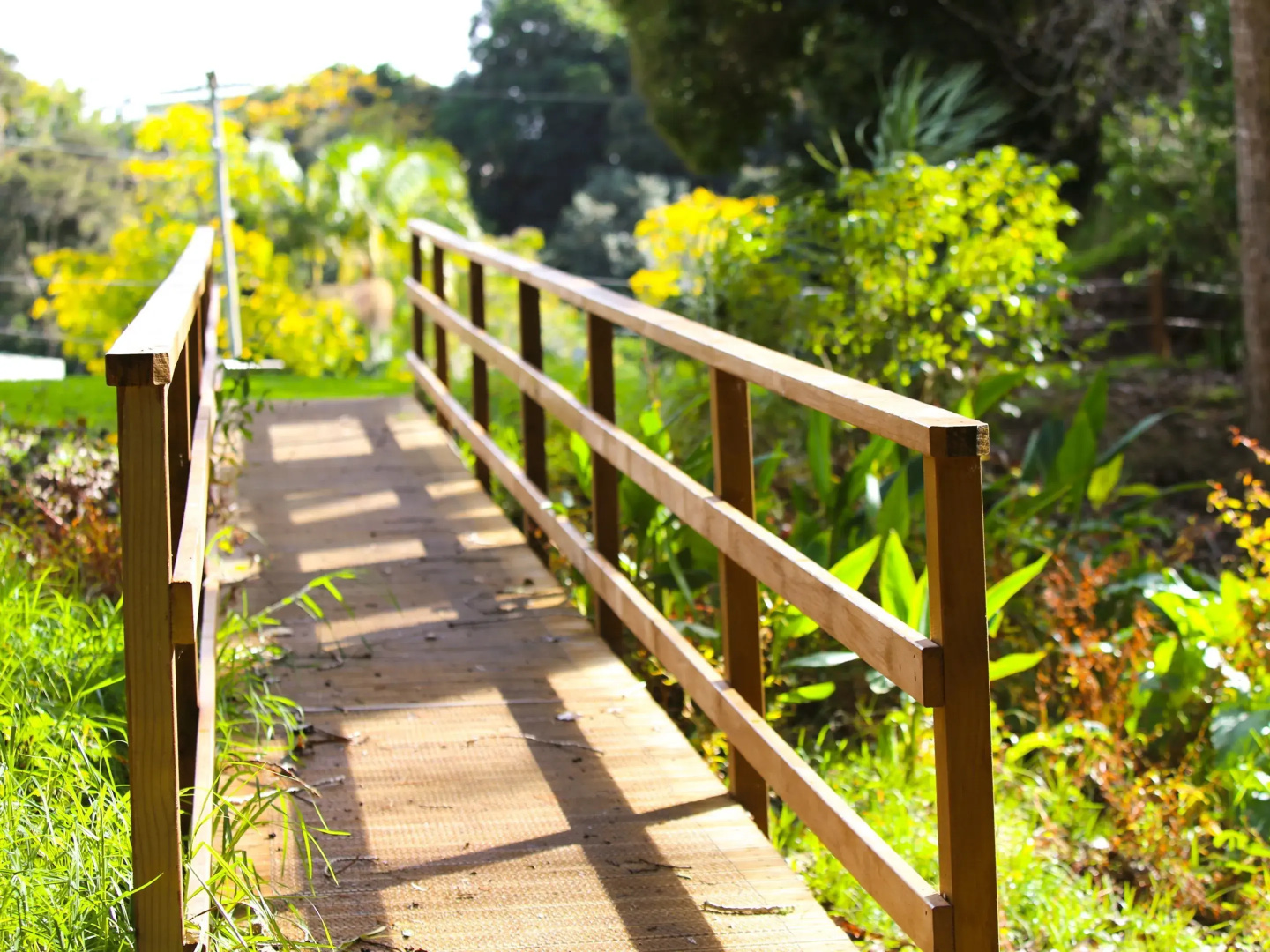 Orere Point TOP 10 Holiday Park